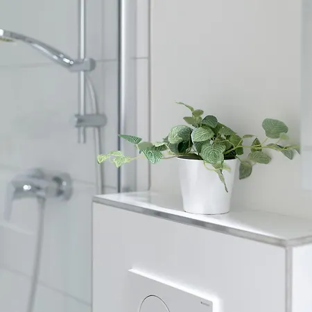 Boern Lachmoewe * 라보에