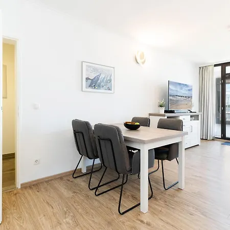 Boern Lachmoewe * 라보에