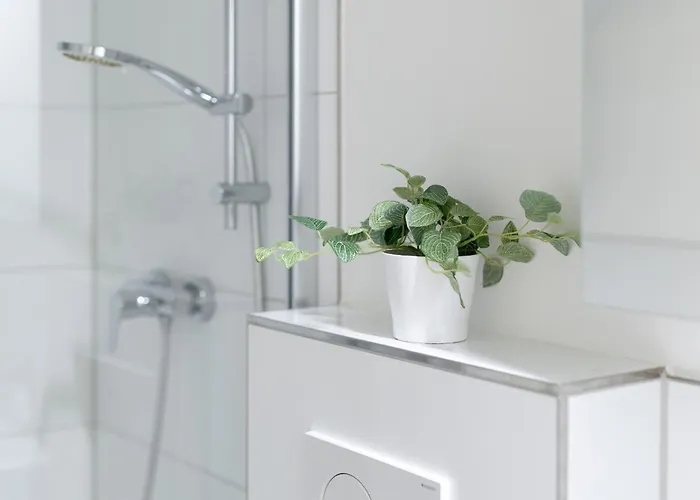 Boern Lachmoewe * Laboe